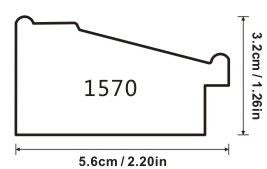 PROFILE 1570