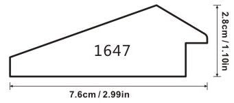 PROFILE 1647