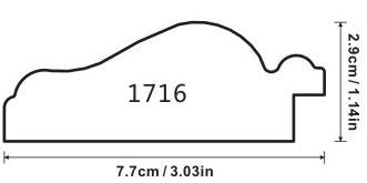 PROFILE 1716
