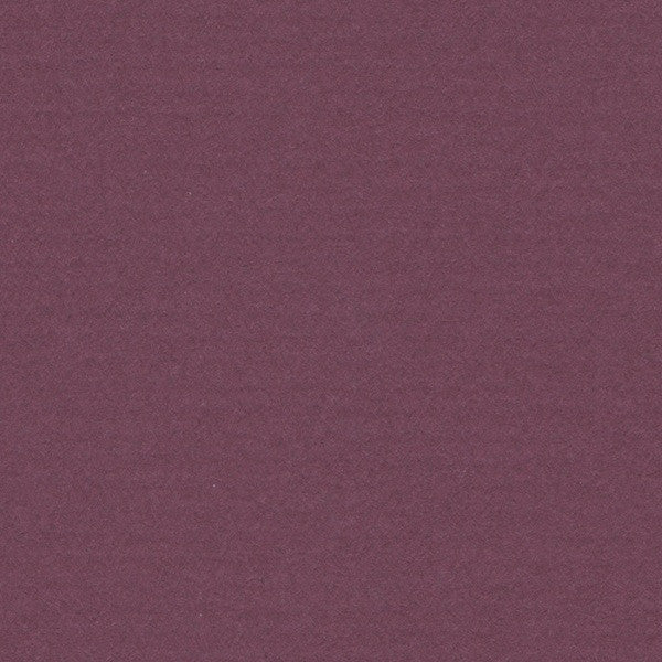 RASPBERRY – Mirror Image