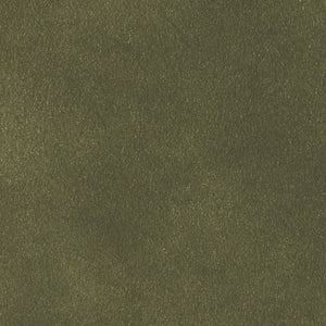 SUEDE OLIVE